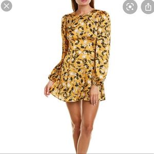 Tularosa Brixton Dress